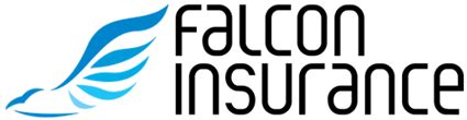 falcon auto insurance company